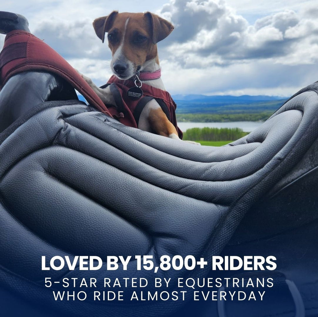 Soft Equestrian Seat Pad
