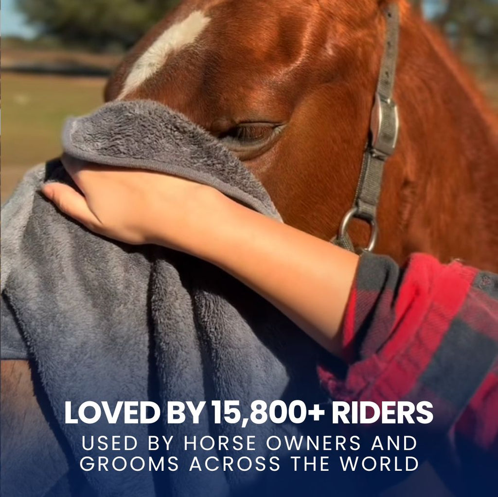 Horse Absorber