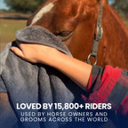 Horse Absorber
