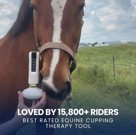 Red Light Cupping Therapy